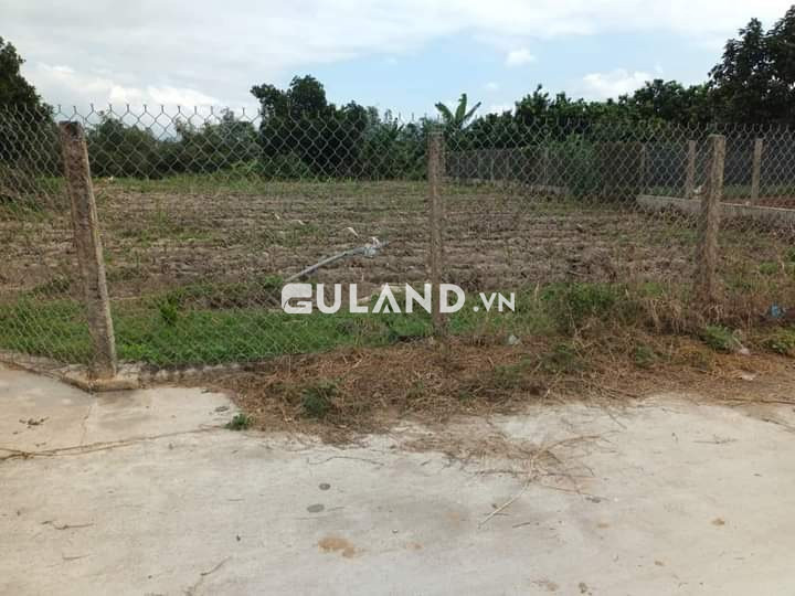 Chủ ngộp cần ra nhanh 2 lô đất cắt ra từ viên gia 6x50, 60 thổ, bê tông thông thoáng, vị trí tiềm năng sinh lời