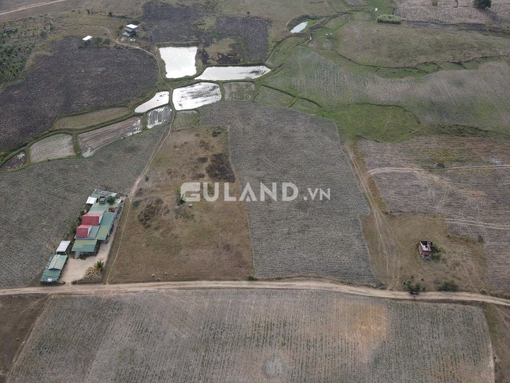 Tân Phong Ninh Xuân 42x32, 200tc
