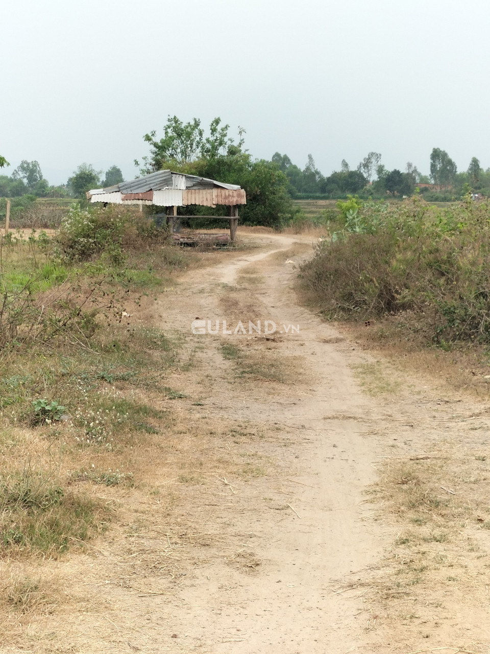 Lô 3 mặt tiền Vân Thạch, Ninh Xuân, 31x40, HNK qh full thổ cư