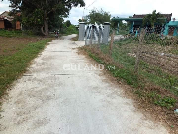 Hàng F0 cắt bán mặt tiền 6x50, 60 thổ, Ngũ Mỹ, Ninh Xuân-163