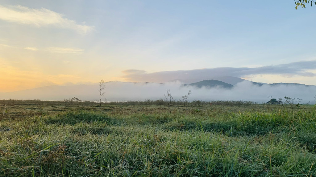 Bán gấp/ đất view hồ Suối Trầu