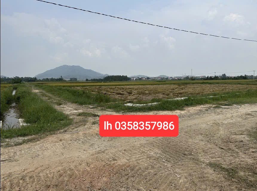Bán đất 1631.6m² ngang 45m giá 950 triệu tại Xã Nội Bài