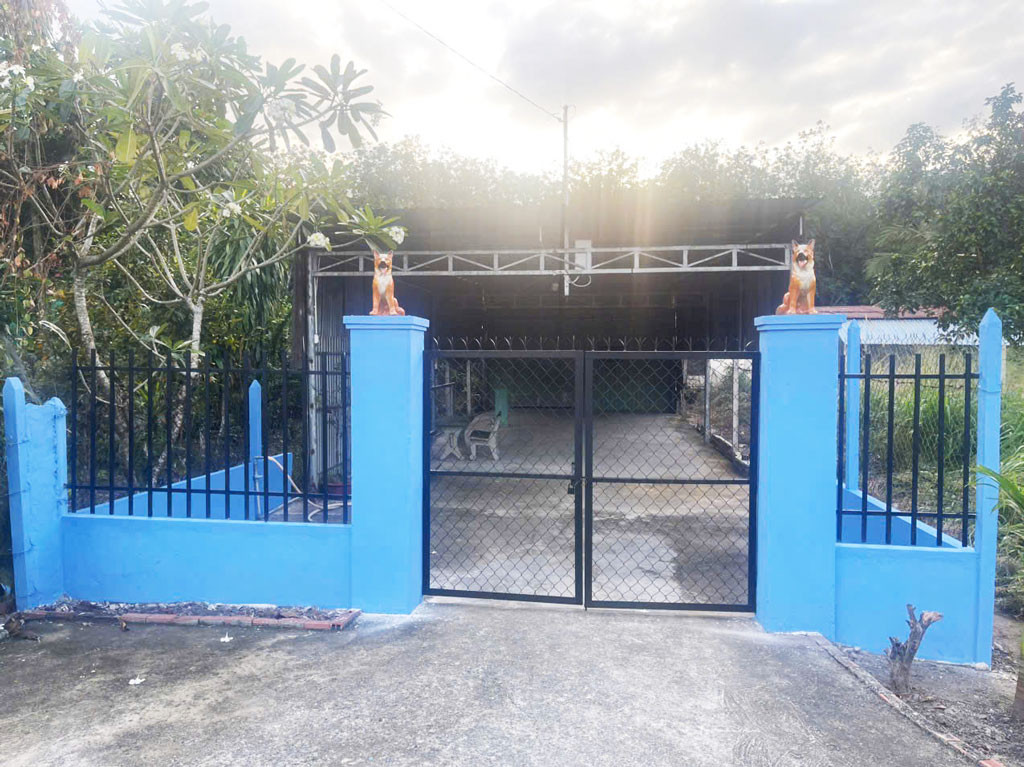 Bán nhà đường số 979E - 353m2 - 6x61 - 300m2 thổ cư - xã Phạm Văn Cội - Củ Chi