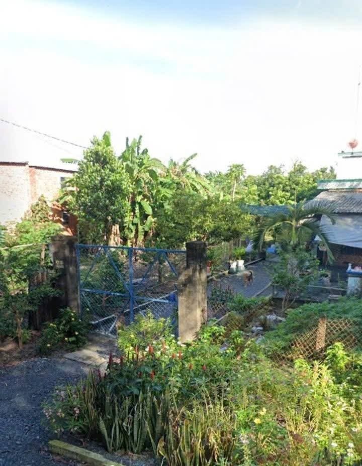 Bán nhà vườn mặt tiền nhựa đường Số 496 xã Phạm Văn Cội Củ Chi TPHCM, DT: 9x43m.