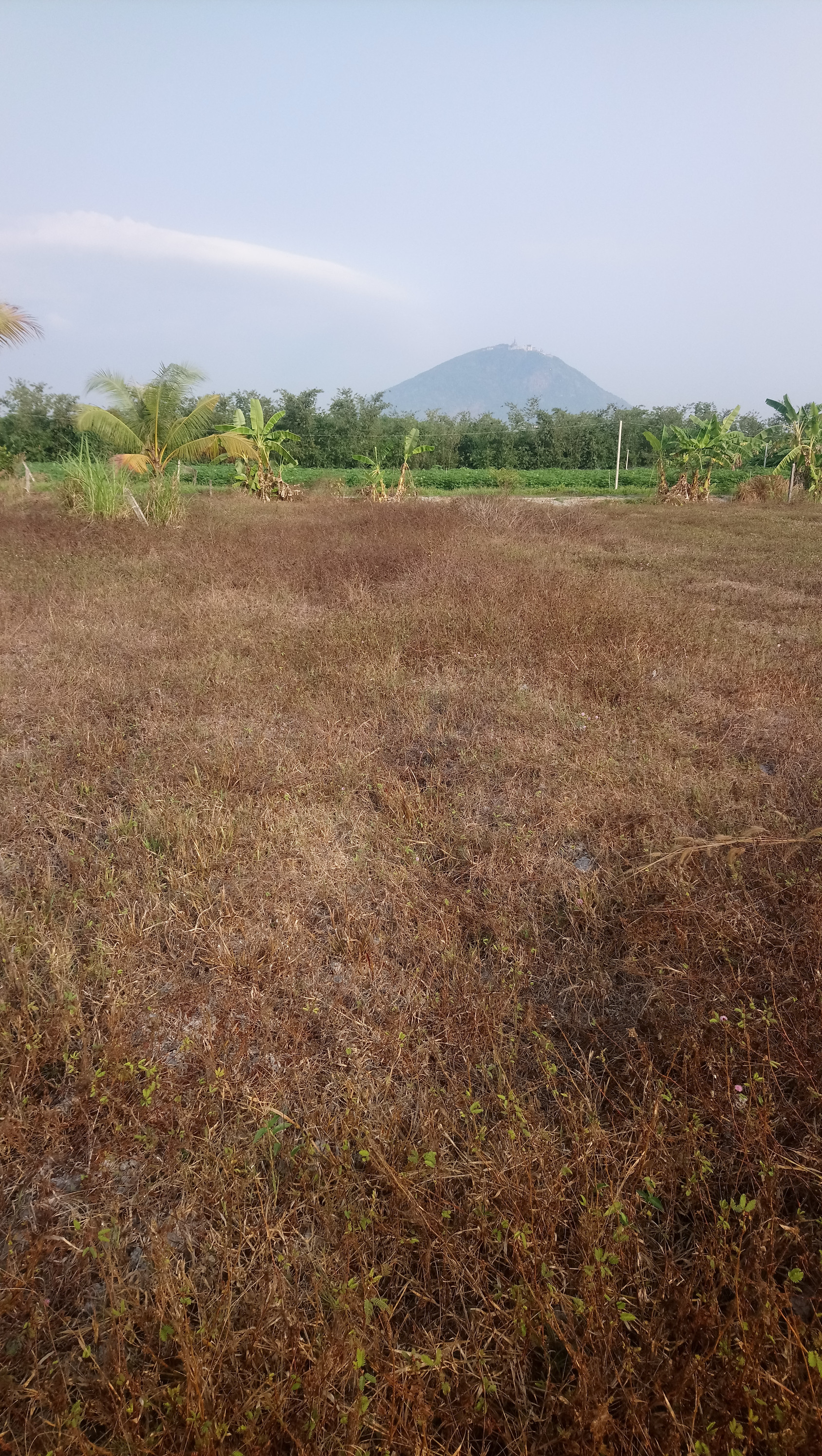 Đất thổ cư 2 mặt tiền giá ngộp