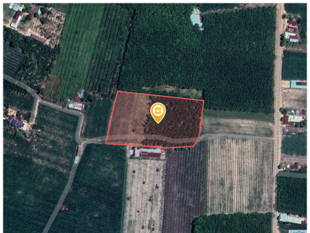 Bán đất 2500m² 1.8 tỷ tại Xã Phan Huyện Dương Minh Châu
