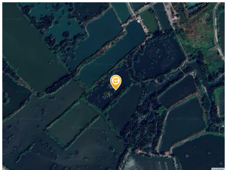 Bán đất 4500m² 7 tỷ tại Xã Phong Phú Huyện Bình Chánh