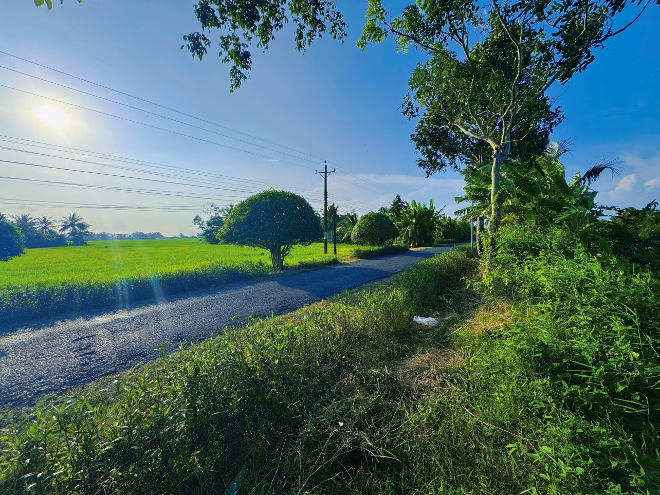Bán đất Xã Phong Thạnh Đông TX Giá Rai cách chợ Láng Tròn #5km