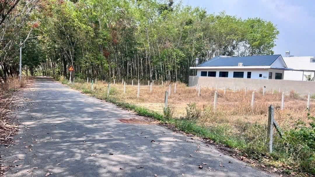Chính chủ gửi lô đất trung tâm Phú An 6.5x58, giá 1ty650