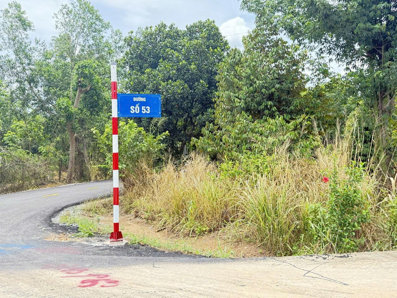 Bán đất 958.4m² ngang 50m giá 11 tỷ tại Xã Phú Giáo