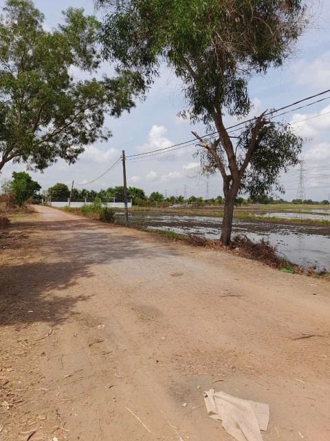 (L748) Đất Hẻm 321 xã Tân Thạnh Đông, dt 507m2, giá 2 tỷ 400 TL