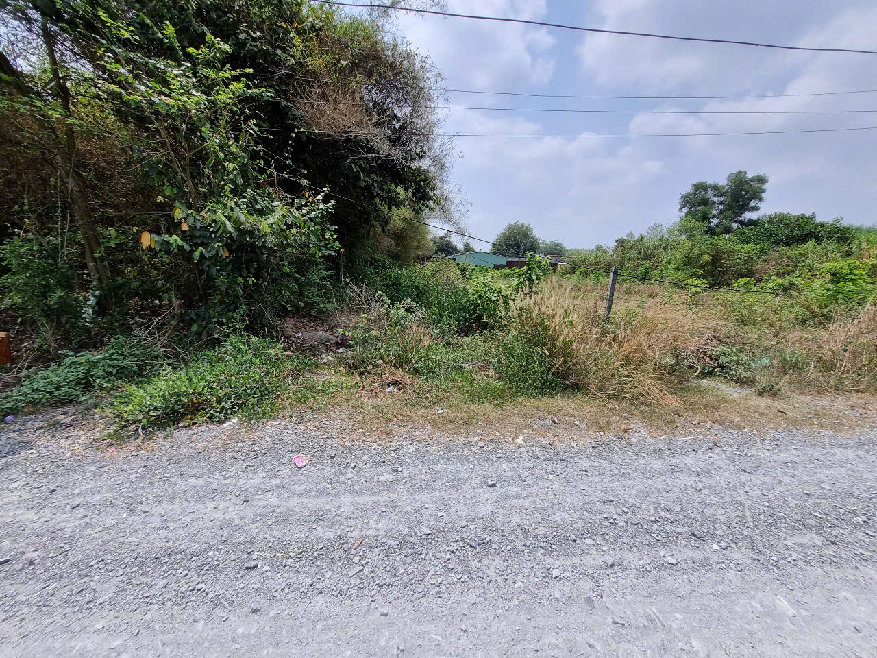 (B460) Đất 1/ Trần Thị Tuồng thông ra Nguyễn Thị Nê, xã Phú Hòa Đông, dt 1.161m2, giá 6 tỷ