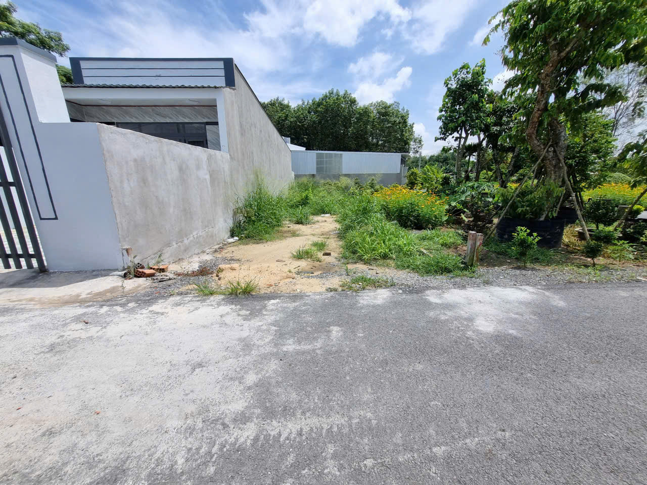 (S575)  Đất 1/ Lý Thị Chừng, Phú Hòa Đông, dt 97m2, full thổ, đất ở hiện hữu, giá 1 tỷ 550