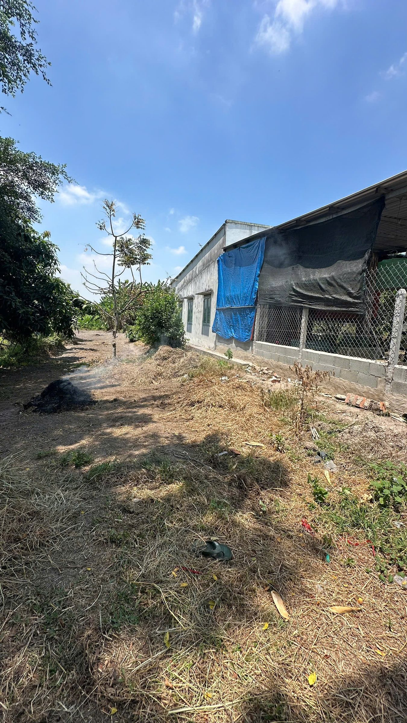Đất Củ Chi: 5 x 22m - sổ hồng riêng - Full thổ - đường xe hơi  - gần chợ Phú Hòa Đông, Chỉ: 1,55 tỷ