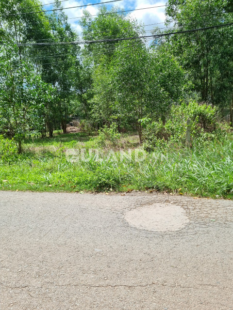 (S228) Đất đường Bến Sình/đường 443, xã  Phú Hòa Đông, dt 158m2, chỉ 1 tỷ 750