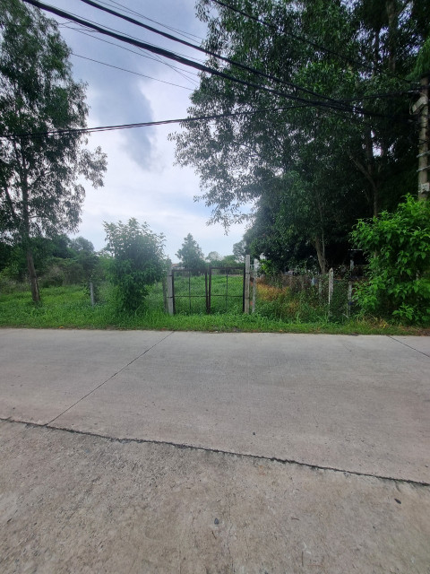 (L495) Nhượng đất đường thông ra Nguyễn Thị Nê, xã Phú Hòa Đông, DT 499m2, chỉ 3 tỷ 490