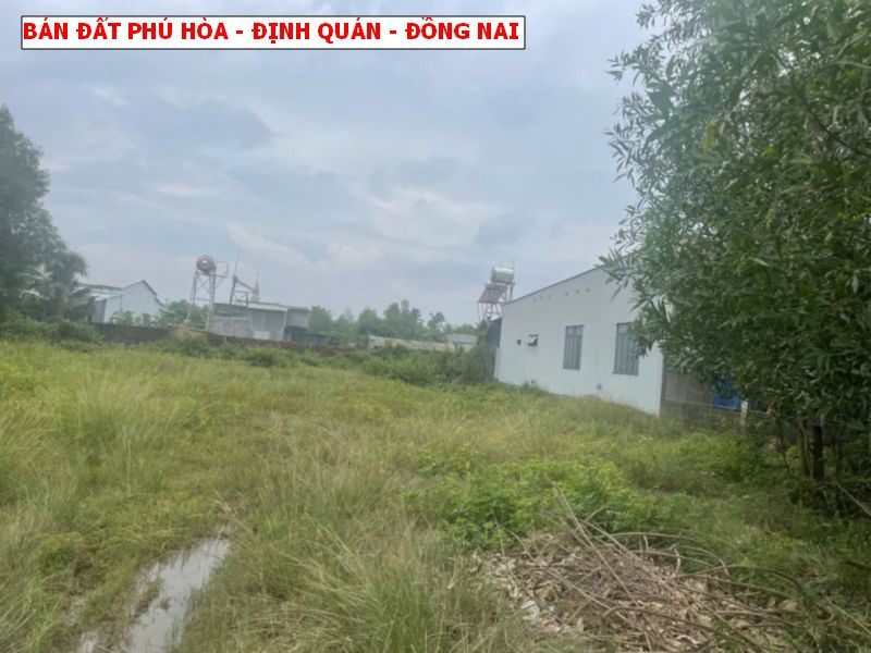 Bán đất Phú Hòa - Định Quán - Đồng Nai, 6 x 45m full thổ, gần chợ