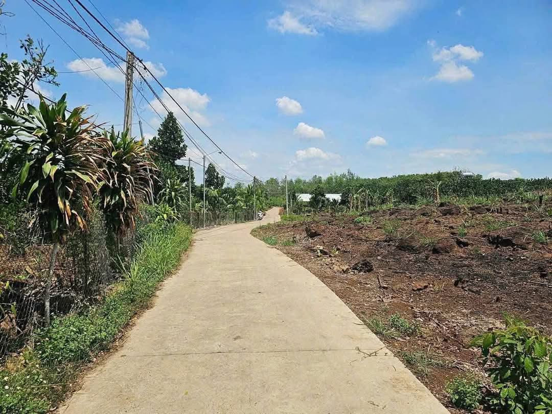 Bán đất phú hoà giá rẻ