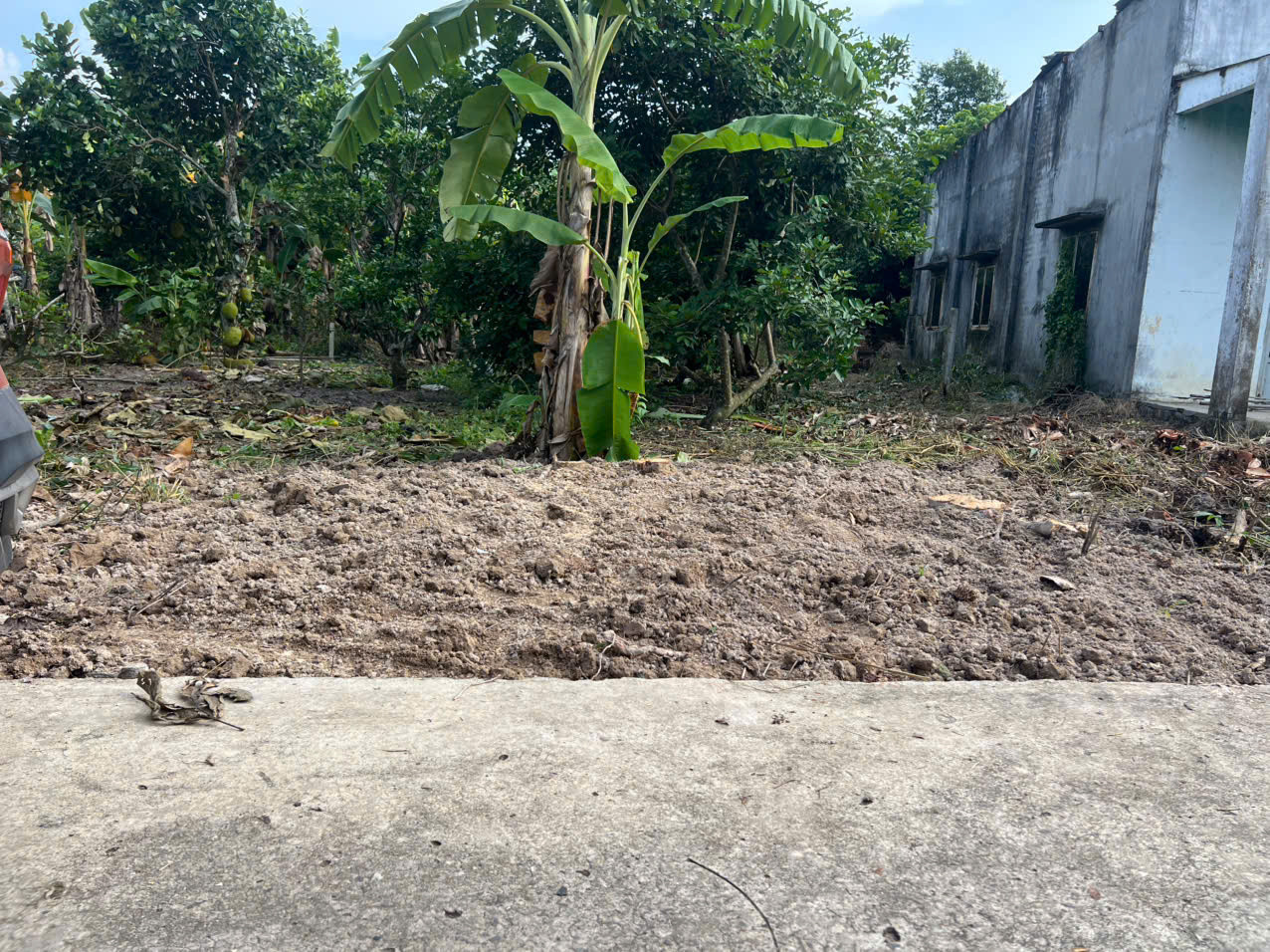 Bán Đất Phú Hòa - Định Quán gần chợ giá chỉ 550tr
