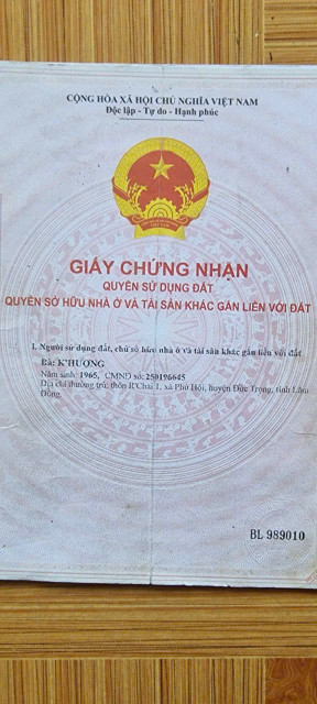 CỰC HÓT - CHÍNH CHỦ CẦN BÁN Đất vườn, cây ăn trái đã thu hoạch được Phú Hội, Đức Trọng, Lâm Đồng