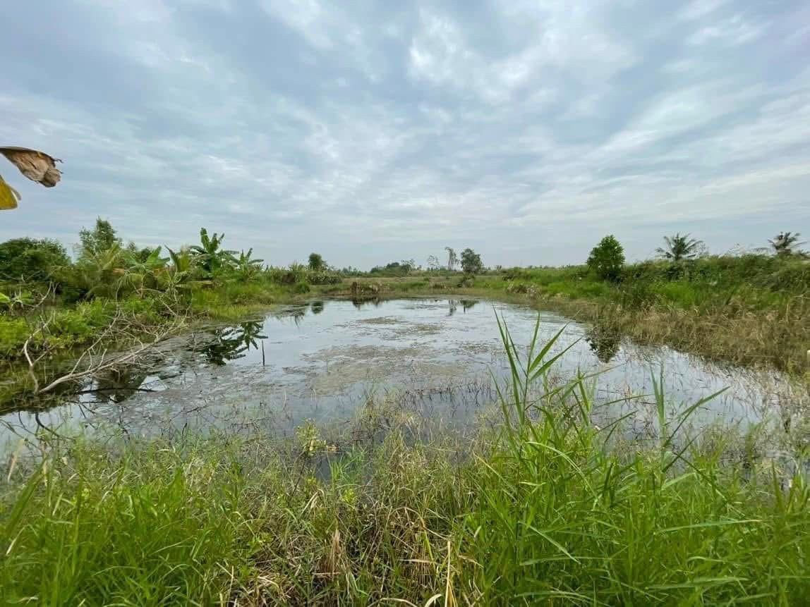 Chính chủ Bán 1800m2 đất ngang 15m có sẵn nền nhà và 1 ao tôm gần chợ Rau Dừa Cái Nước. Giá hết đất 500triệu. Gửi AE 3% cf Khách có nhu cầu cắt ra 2 hoặc 3 thửa vẫn hỗ trợ nhé. 0813455565