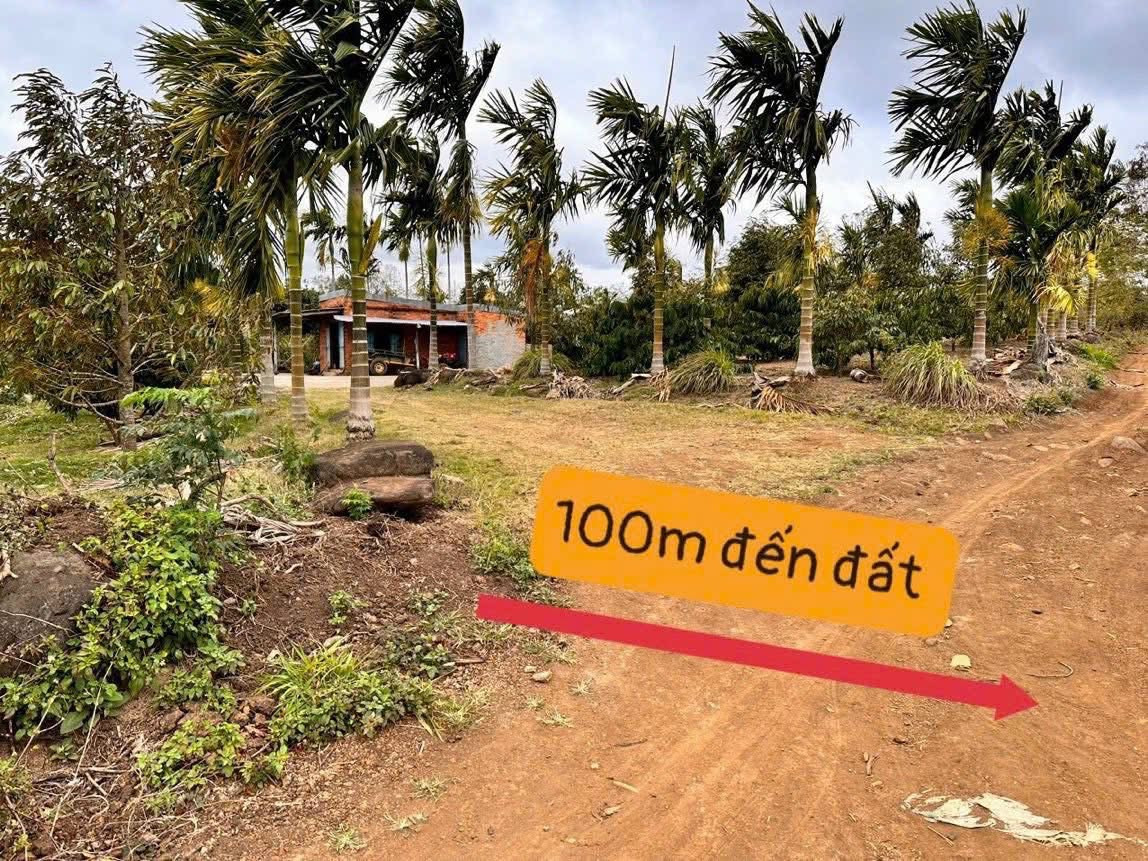 Bán nhà 1355.3m² 250 triệu tại Xã Phú Lộc Huyện Krông Năng