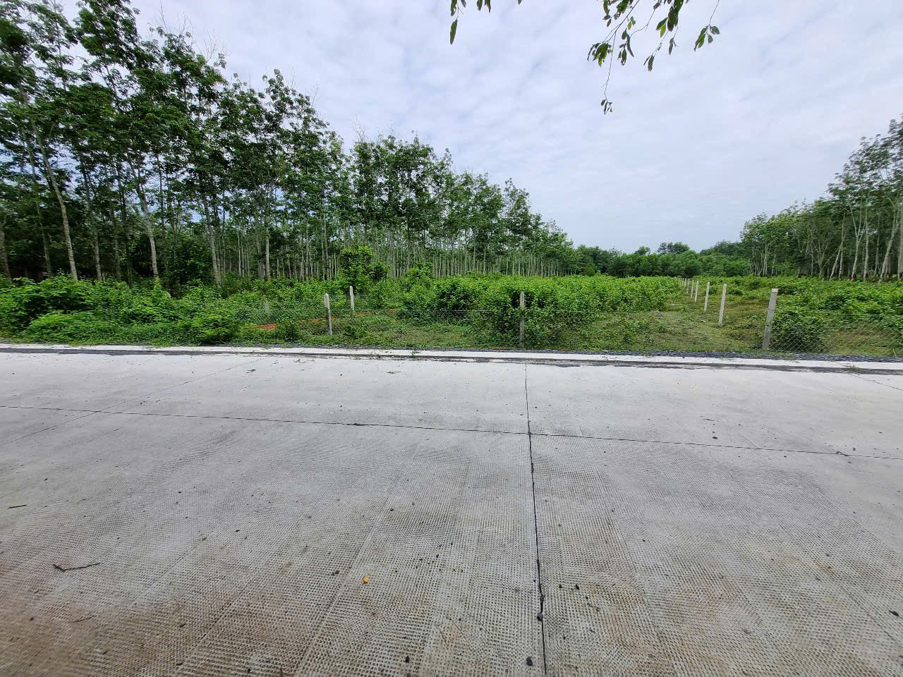 (L730) Đất xã Phú Mỹ Hưng, dt 1.600m2, đất ở 100m2, giá 3 tỷ 200