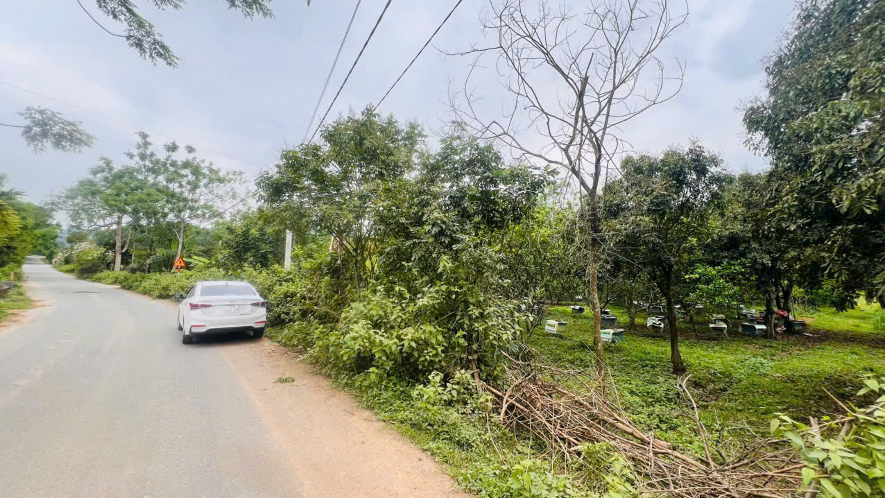 🔥 BÁN ĐẤT NGHỈ DƯỠNG PHÚ NGHĨA – LẠC THỦY – HÒA BÌNH 3948m, hơn 2 tỷ