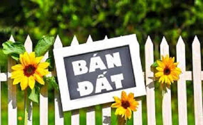 ⭐️Cần bán nhanh lô đất đẹp, tiềm năng tại Kim Anh (Kim Thành, Hải Dương cũ), TP.Hải Phòng, 0982310269