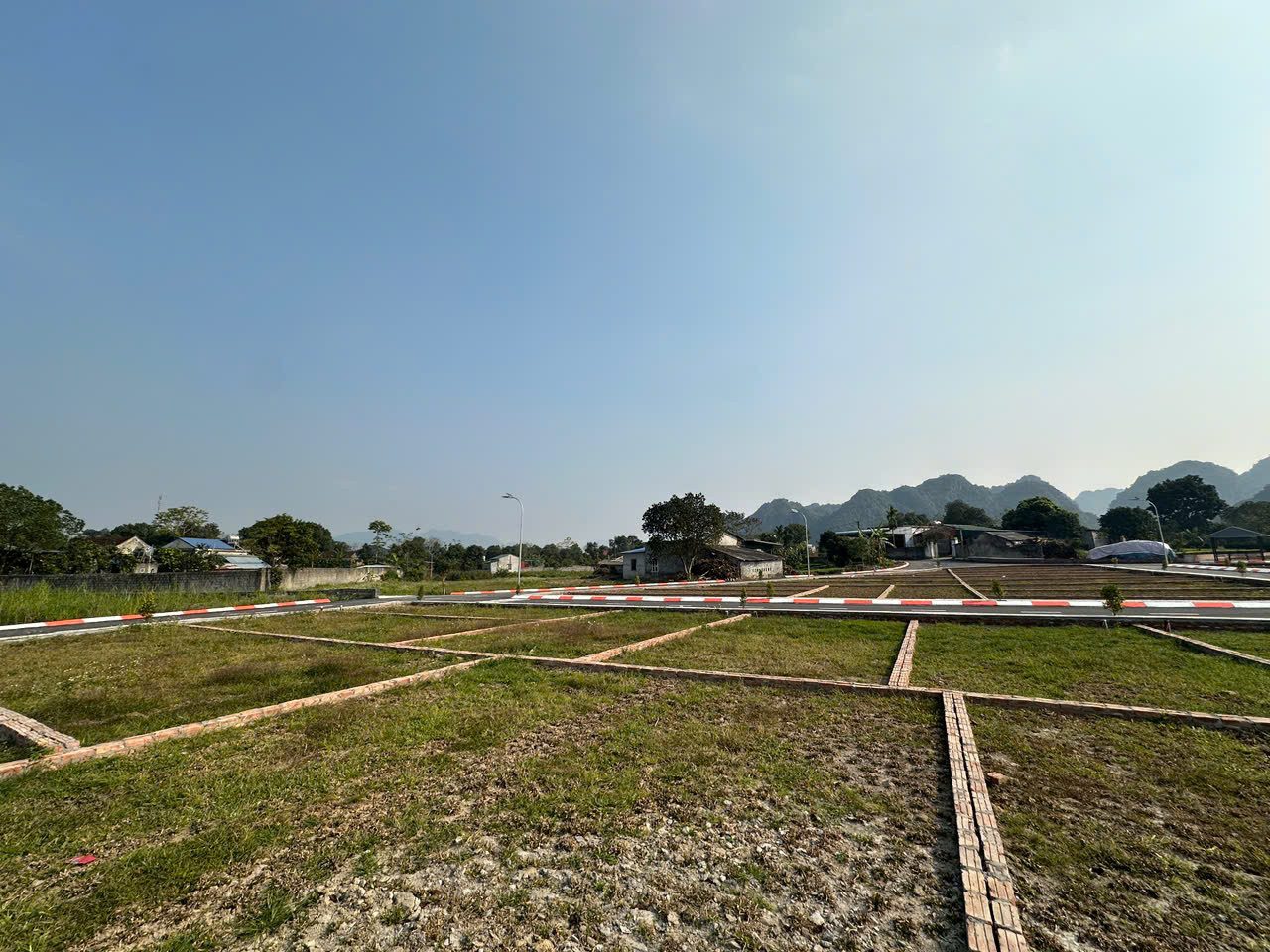 Hình 5