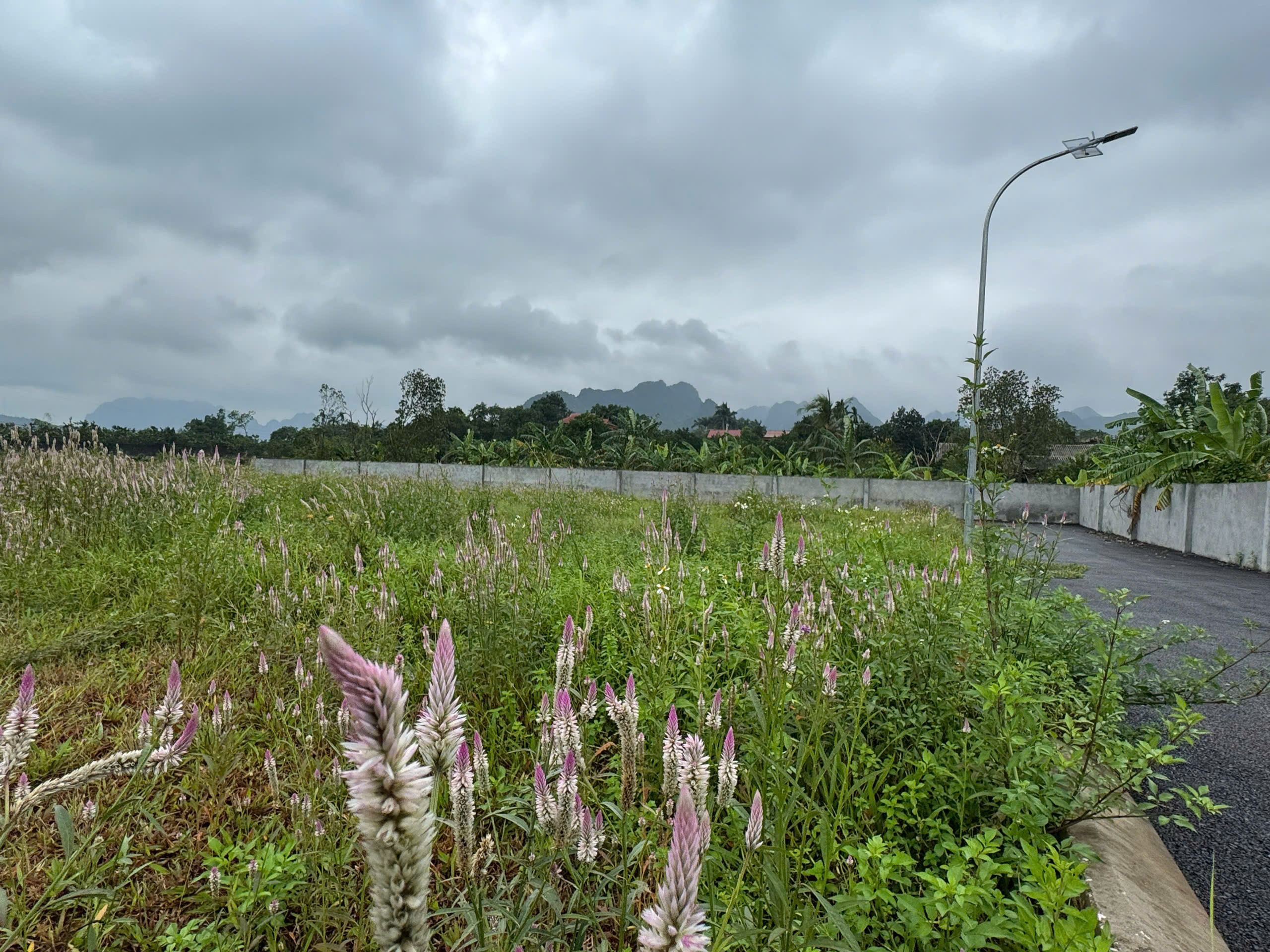 🚀 ĐẦU TƯ  GIÁ F0- CHỈ 390 TRIỆU - SỞ HỮU NGAY 92m²  ĐẤT ĐẸP TRUNG TÂM PHÚ THÀNH - LẠC THỦY