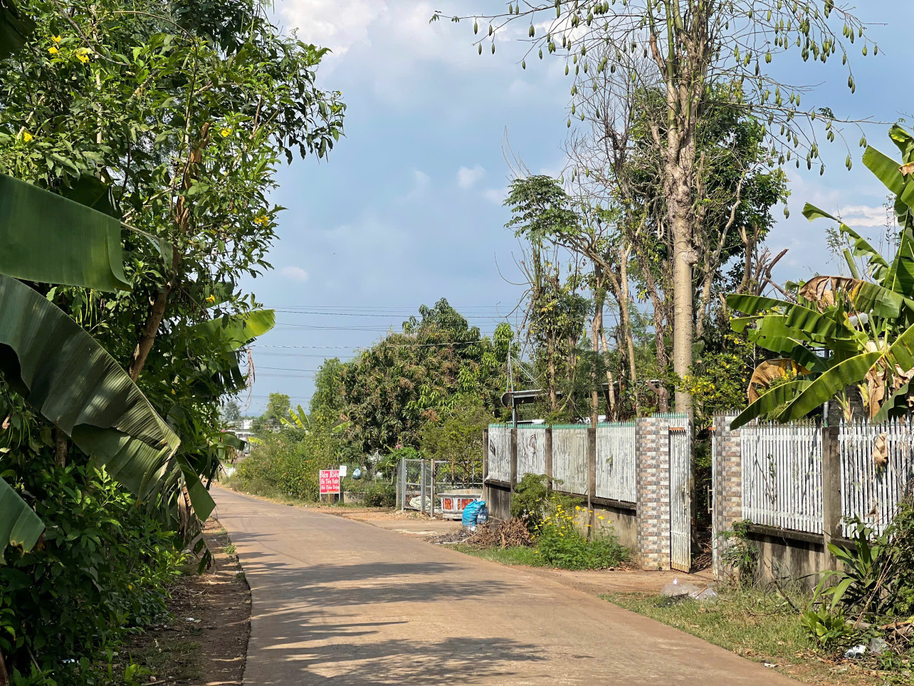 🔥Bán Vườn Mít tại 1000m² Phú Túc, Sống Xanh Sinh Thái, Giá Chỉ 850TR!🔥