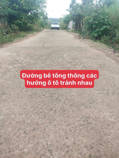 Bán đất 1240m² 450 triệu tại Xã Phú Xuân Huyện Krông Năng