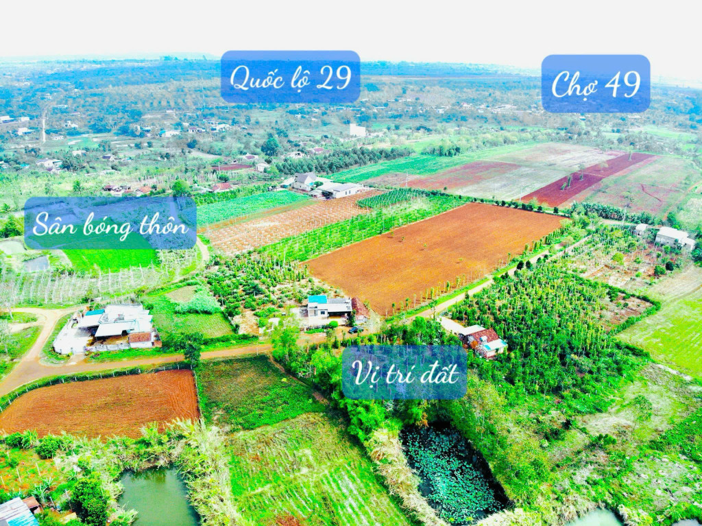 Bán đất 551m² ngang 7,41m nở hậu 8m giá 240 triệu tại Xã Phú Xuân Huyện Krông Năng