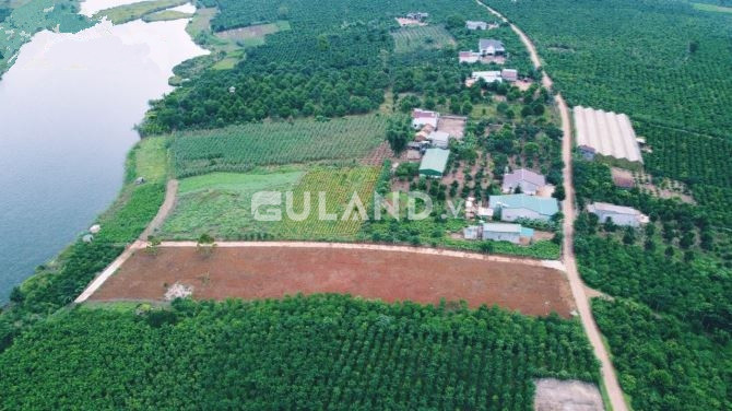 Bán gấp lô đất thổ cư 303m2 (265m2 TC) tại xã Phúc Thọ, Lâm Hà