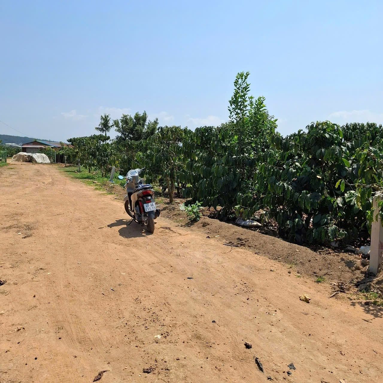 ĐẤT  ĐẸP – GIÁ TỐT – CHÍNH CHỦ CẦN BÁN NHÀ Thôn Phúc Hợp,  Phúc Thọ,  Lâm Hà, tỉnh Lâm Đồng