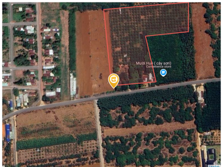 Bán đất 17450m² 60 tỷ tại Xã Phước Bình Huyện Long Thành