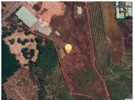 Bán đất skc Long thành:60000m² ngang 100m giá 180 tỷ tại Xã Phước Bình Huyện Long Thành