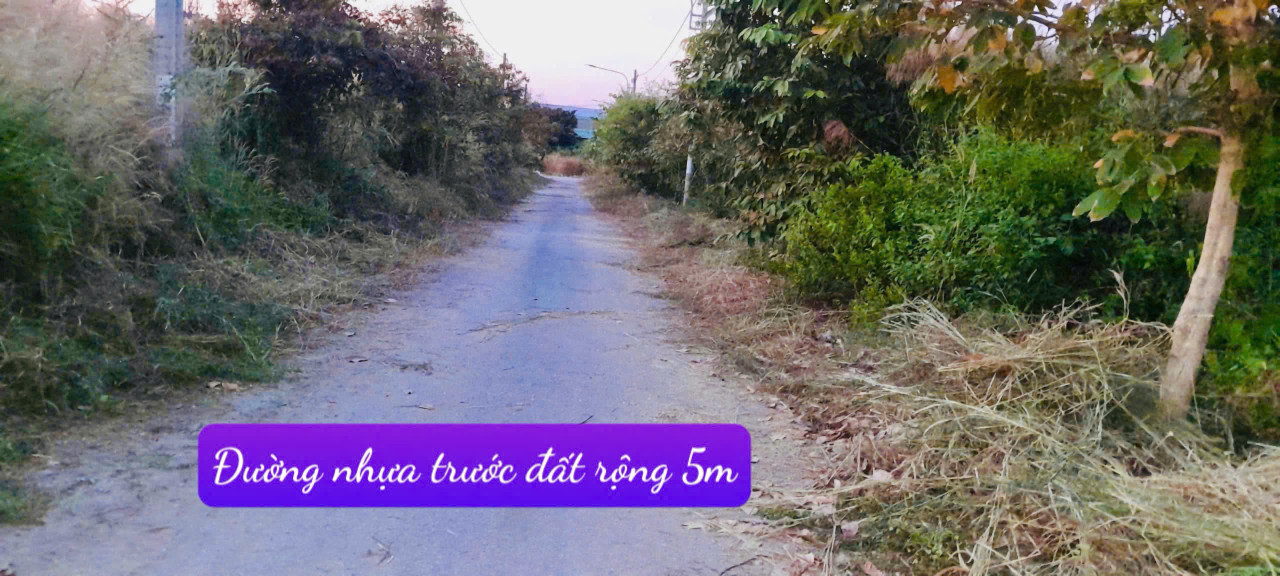 Bán đất Phước Đông, Cần Đước, Long An gần khu công nghiệp Phước Đông