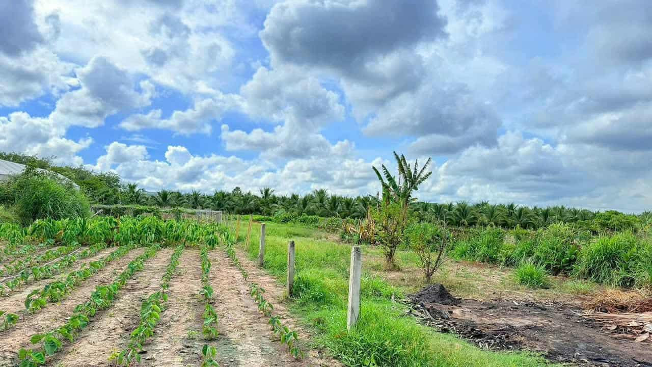 Bán đất 2186.5m² ngang 11m giá 2.8 tỷ Xã Phước Hải