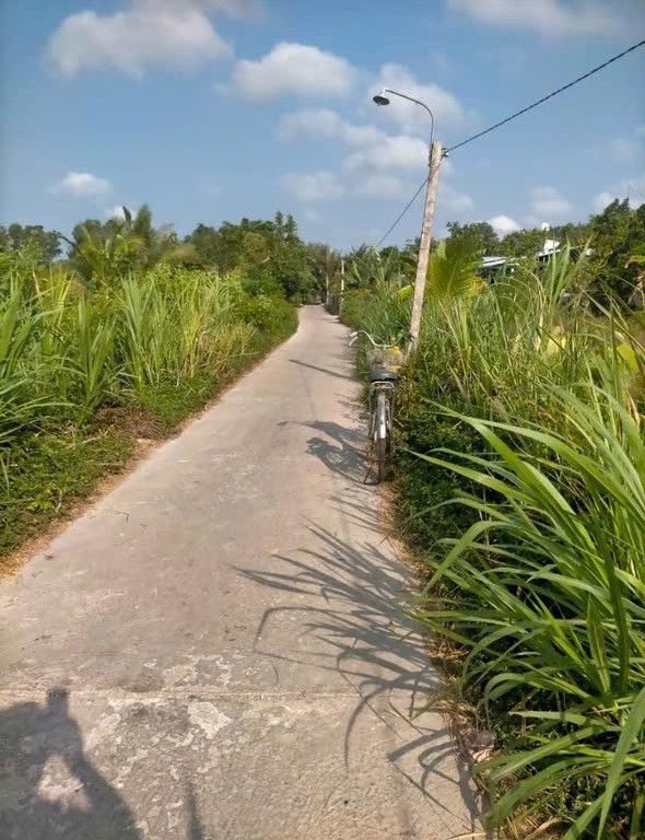 Bán đất 2000m² tại Xã Phước Hậu Huyện Long Hồ