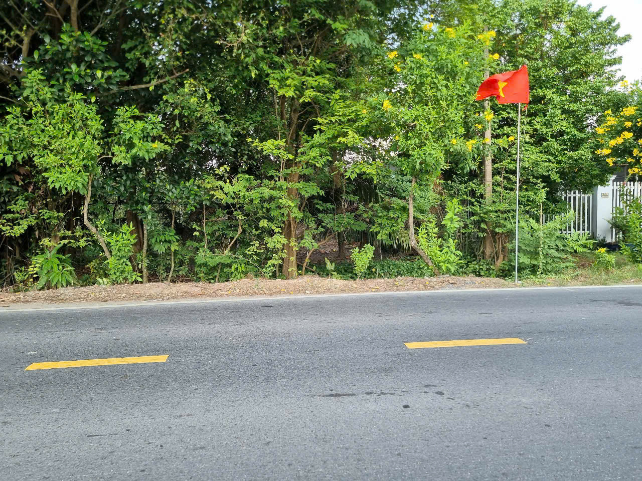 (B472) Đất 1/ Quốc Lộ 22 (mặt tiền Nguyễn Thị Rành), xã Phước Hiệp, dt 565m2, thổ cư 503m2, giá 8 tỷ 300