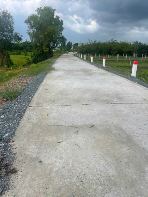 600m2 đất lúa đường beton xã Phước Hiệp, Củ Chi giá 1,05 tỷ