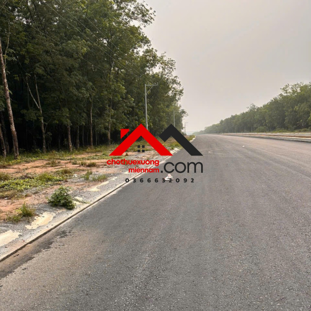 CHO THUÊ ĐẤT MẶT TIỀN ĐƯỜNG TẠO LỰC BẮC TÂN UYÊN - PHÚ GIÁO - BÀU BÀNG, BÌNH DƯƠNG – DIỆN TÍCH LỚN, GIÁ TỐT