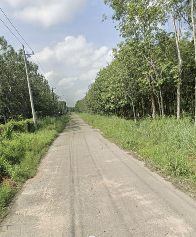 Cho thê đất phước hoà