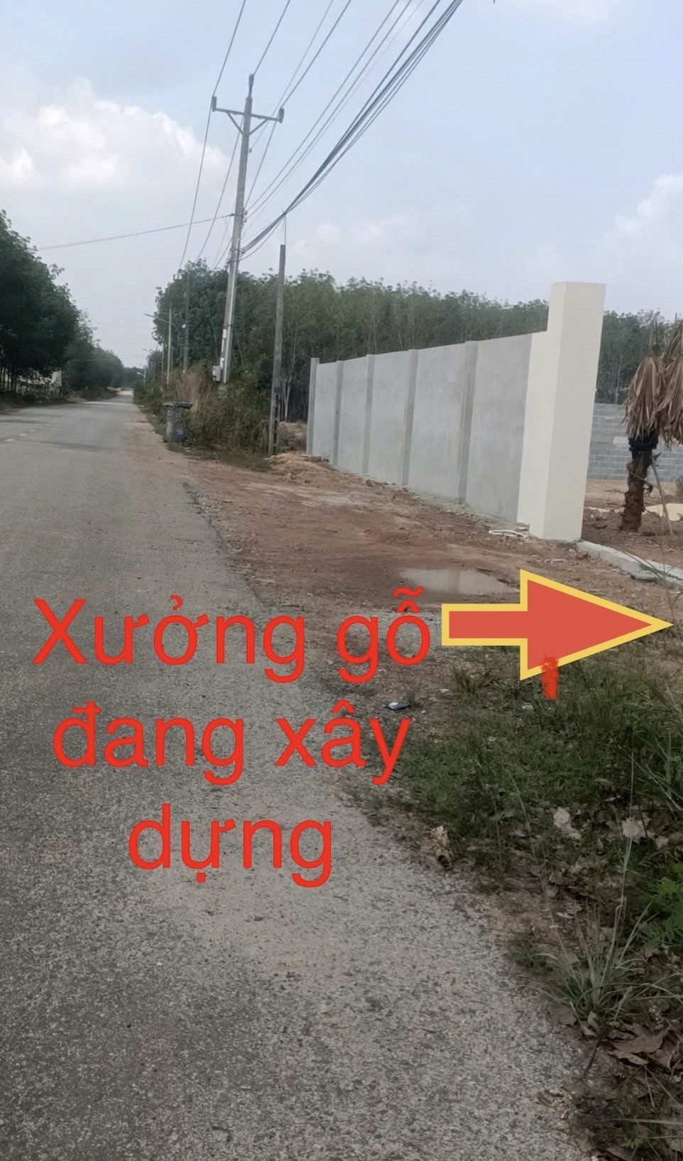 Chủ cần tiền bán gấp lô đất 100m mặt tiền dh514