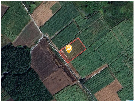 Bán đất 3942.9m² 3.2 tỷ tại Xã Phước Khánh Huyện Nhơn Trạch