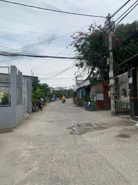 Bán Đất thổ cư mặt tiền đường đê Thuỷ Lợi ấp 3