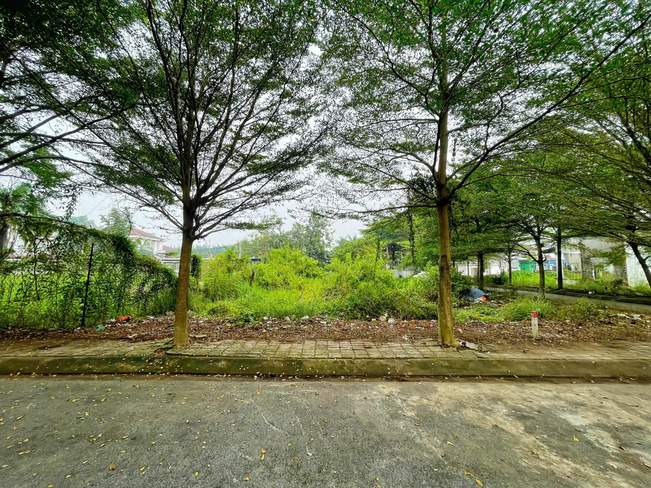 Bán đất đường Lê Văn Lương, 80m², 4.55 tỷ, tại Xã Phước Kiển, Huyện Nhà Bè