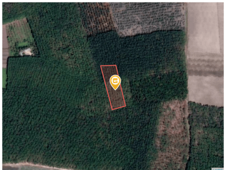 Bán đất 1000m² 700 triệu tại Xã Phước Minh Huyện Dương Minh Châu